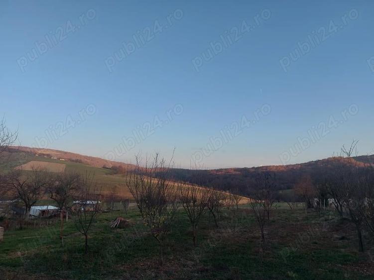 Vand casa in Fasca - 3