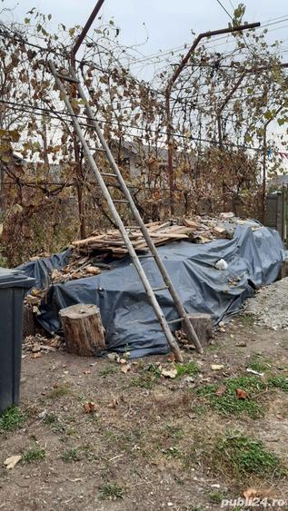 Vand casa ?ara Dambovi?a - 7