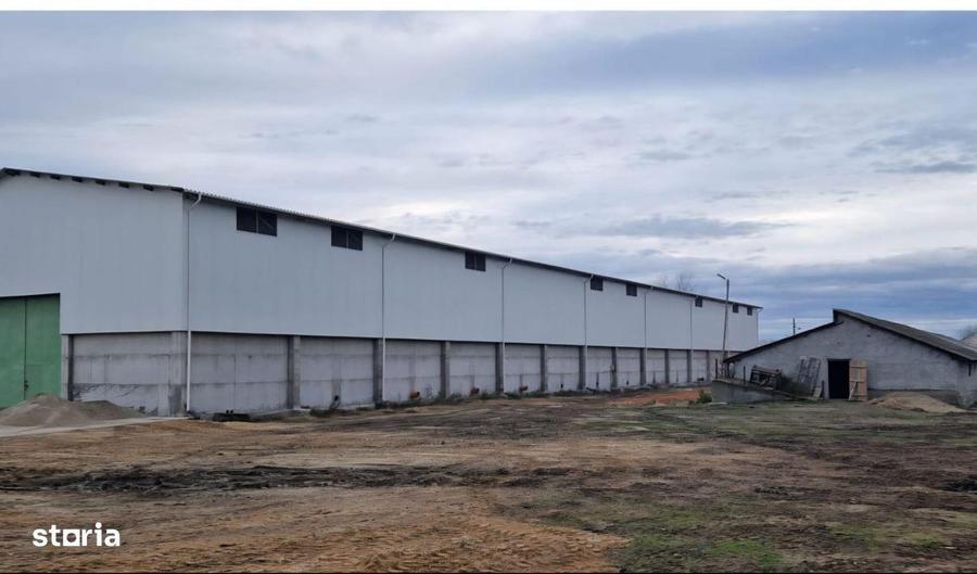 Proprietate agroindustriala, hala 1590 mp, teren 28000 mp, panouri 398 - 2