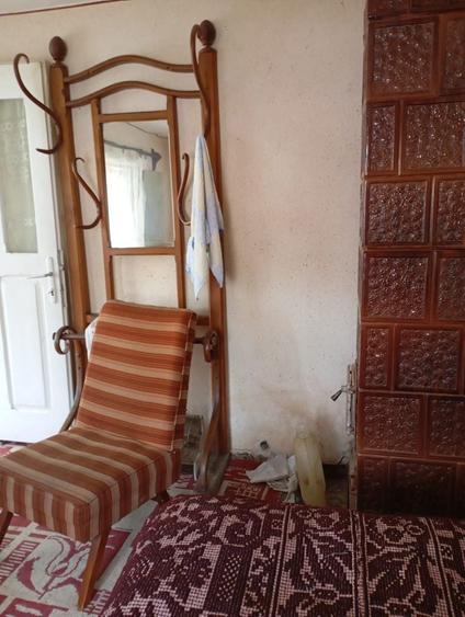 Casa batraneasca si teren Malul cu Flori - 5