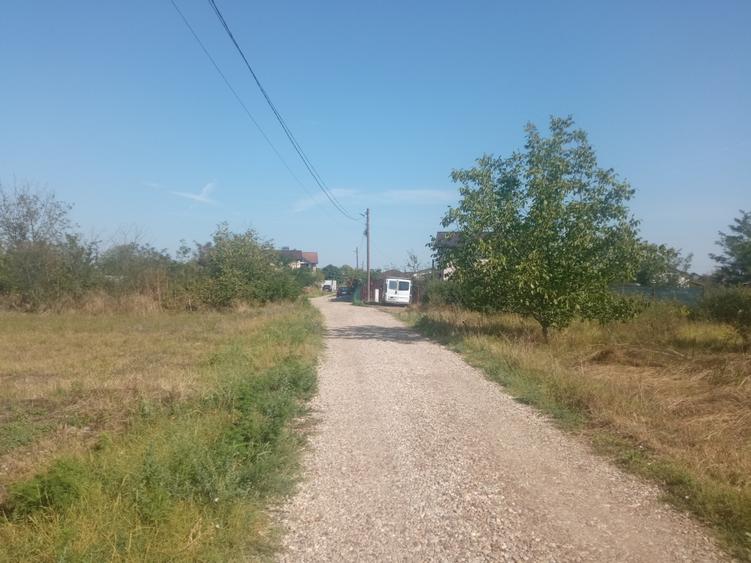 Teren 100Omp, Clinceni, Str Rozelor - 8