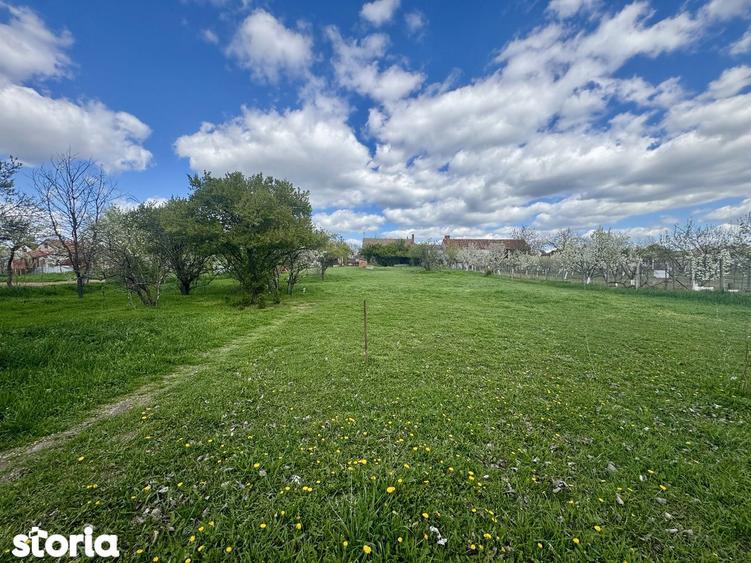 Vand teren 4097 mp, Aradul Nou - 3