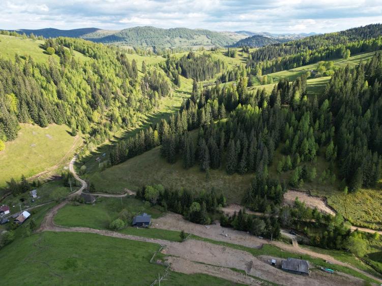 Teren de vanzare, Muntele Bocului Baisoara ,teren1000 mp - 4