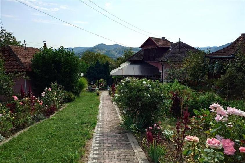 Casa cu Gradina, Parc si Priveliste in Brad, Jd. Hd - 5