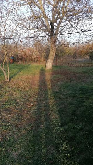 Vand casa batraneasca si teren cu livada. - 2