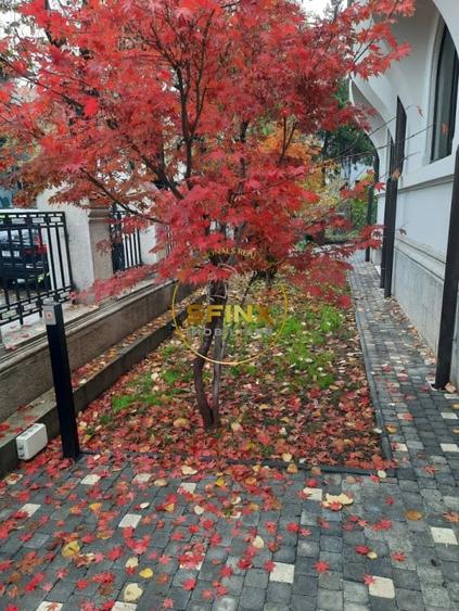 Dorobanti Capitale, vilă interbelică renovata, de inchiriat pentru birouri - 32