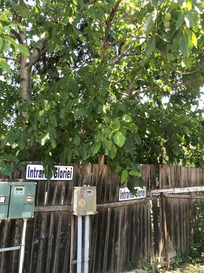 Teren de casă – zonă liniștită, ferit de trafic; langa podul Ciorogarla - 4