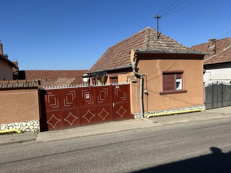 Vand casa la tara Saliste - 3