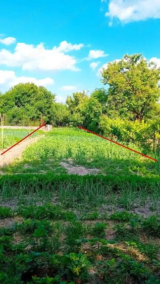 Casa cu teren in Fratelia - 2