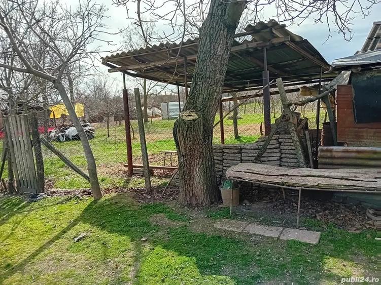 vand casa in comuna Lipovu jud Dolj - 4