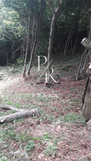 Teren de vanzare 10.000 mp/ parcelabil, cu utiitati, 4 euro/ mp! Maguri Racatau! - 4