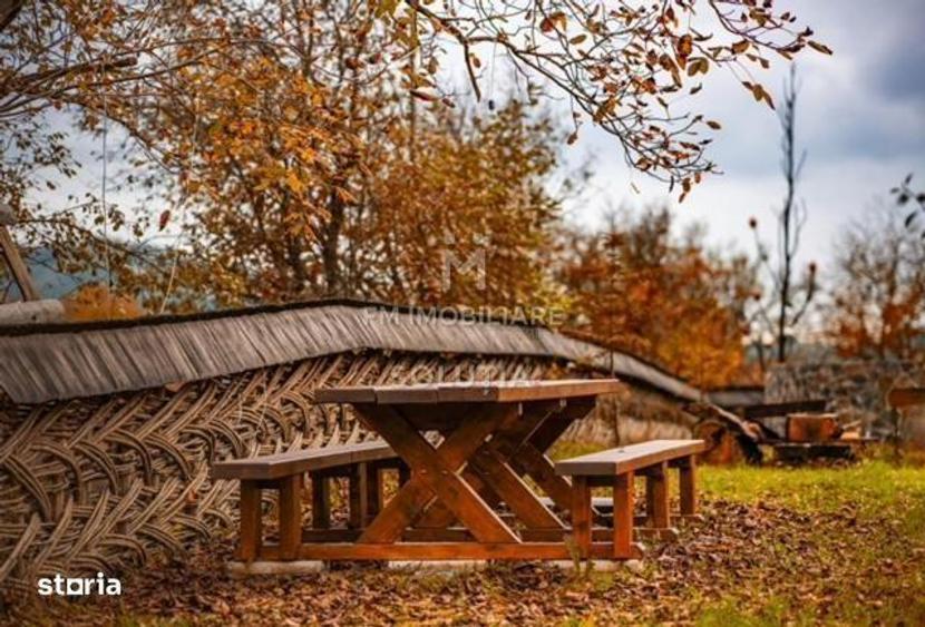 Pensiune agroturistica: 3 case tradi?ionale + teren in Dese?ti - 1