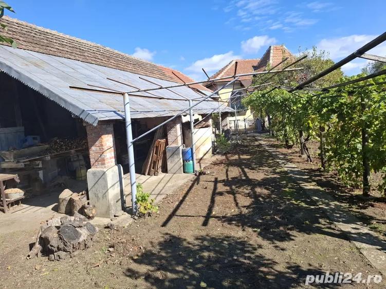 Casa cu teren 1480 mp, la 5 minute de Dunare Crivina, comuna Burila Mare, jude?ul Mehedin?i - 8