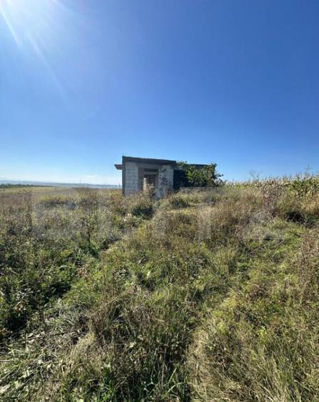 Teren de vanzare - 4296 MP - Bune?ti - 1