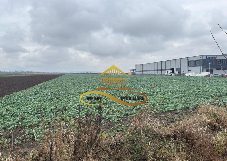 Teren industrial de vanzare in Bacau zona RAR - 1