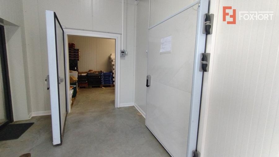 Inchiriere spatiu depozitare produse alimentare, Sacalaz - 10