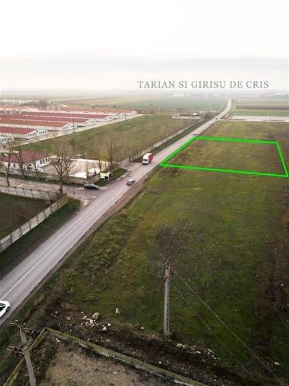 RECO Teren intravilan pentru servicii 1500 mp zona industriala Santandrei - 12