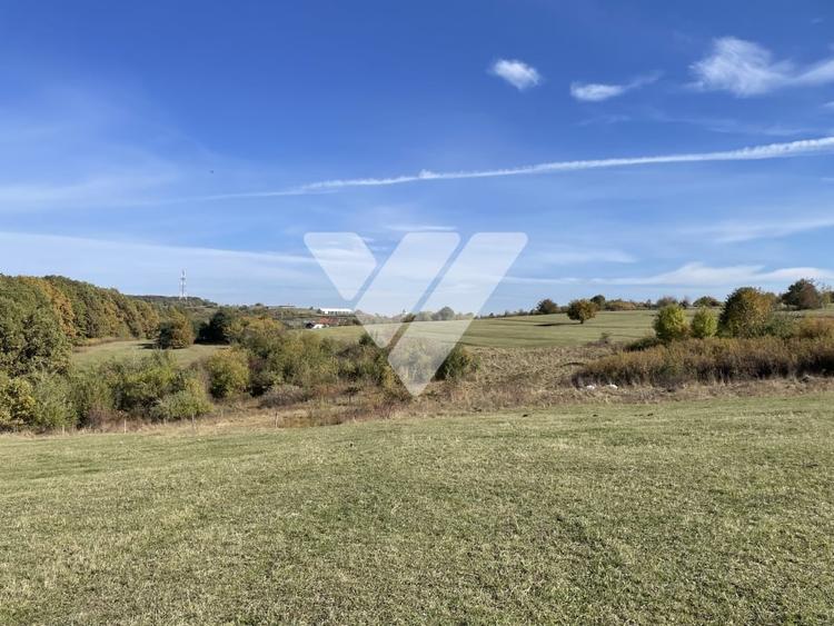 Teren extravilan 1342 mp zona linistita – Rasinari - Sibiu - 3