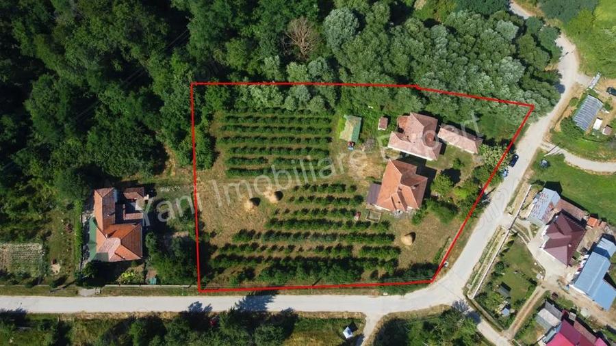 Casa + 6100 mp teren de vanzare in comuna Cepari, sat Urluie?ti, jude? Arge?. - 13