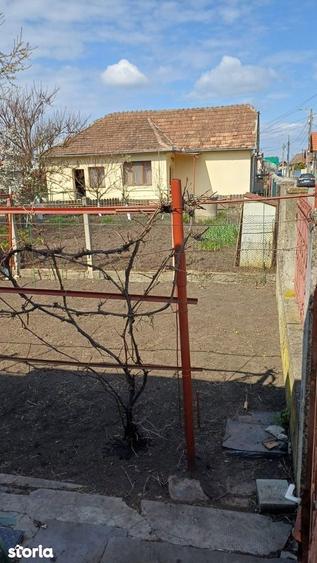Casa individuala , 3 camere , 244 mp teren - 9