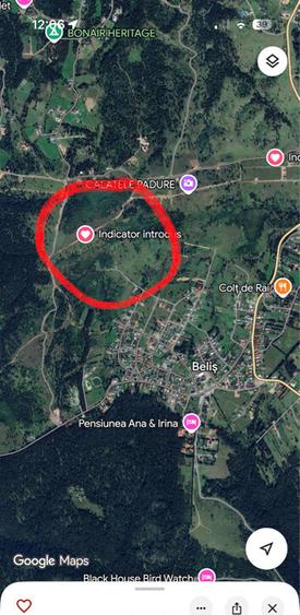 Teren Belis 1000mp - 6