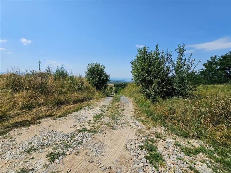 Alzza Real Estate  Teren intravilan de vanzare in Salicea, Cluj  1170 mp cu PU - 2