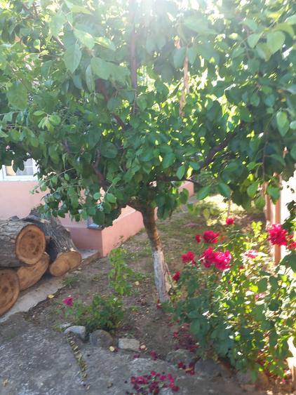 Casă cu 5 camere cu Canalizare în Nanov
