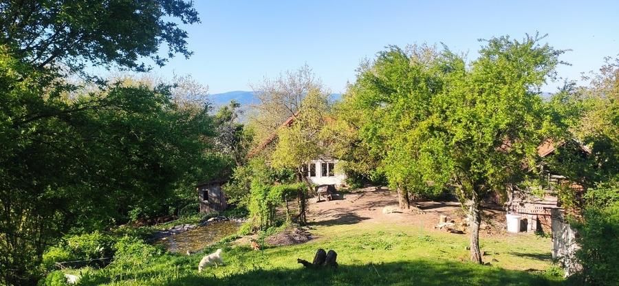Casă în locație exclusivă, cu vedere spectaculoasă la Dunăre și 6 hectare - 10