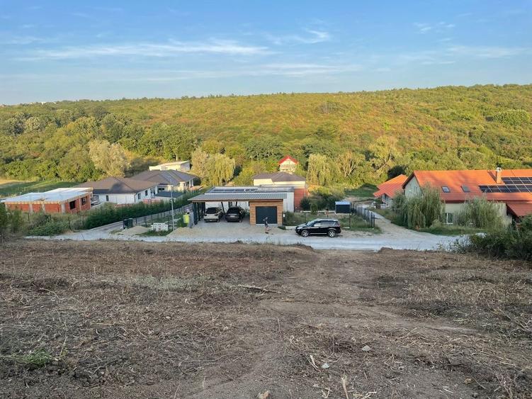 Teren Saldabagiu Hanul Pescarilor - 4