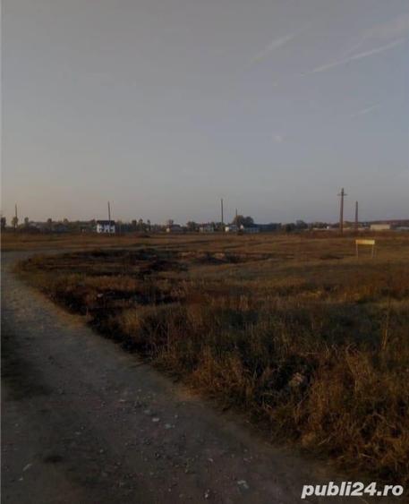 Loturi de teren Darasti-Ilfov - 2