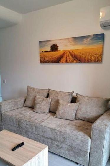 Viilor novum carol - 4