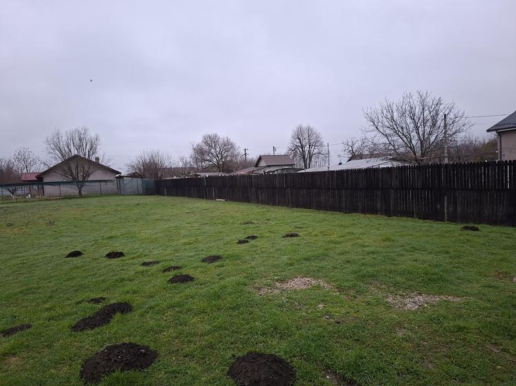 Calarasi, Ileana, str. Lalelelor - 2