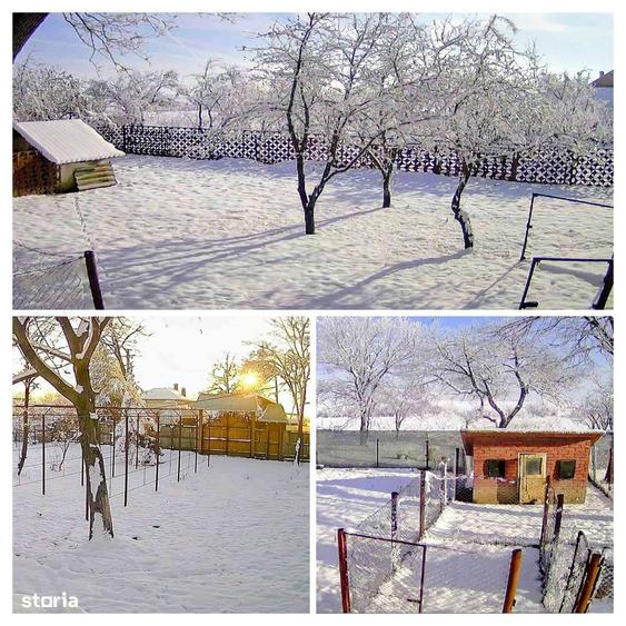 CASA 90m2 + 3052m2 TEREN INTRAVILAN - A1/Olteni (30 min de Buc) - 6