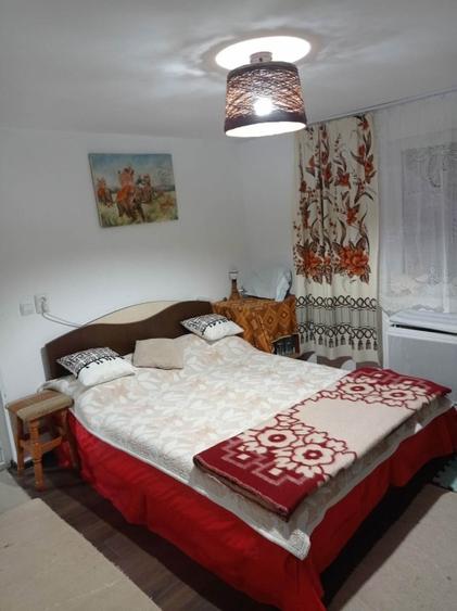 Vand casă cu teren în Moțăieni, DB, la 100 km de București - 3