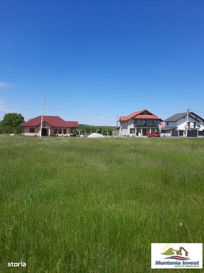 Teren 850 mp,Albota(Morlovani) - 8