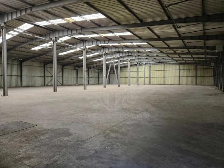 HALA 2300 MP//PARCUL INDUSTRIAL//ZONA YAZAKI - 5