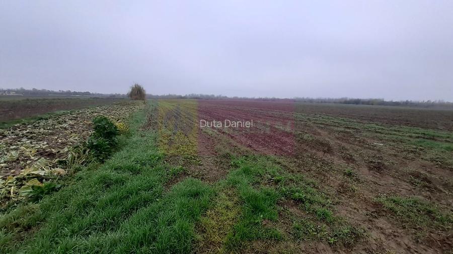 Teren Investiție aproape de București