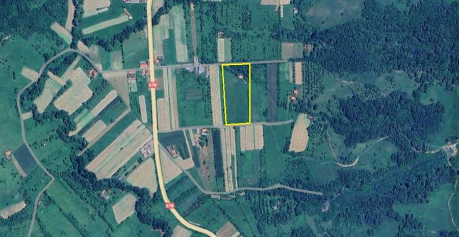 Borlovenii Noi, Teren Drept, 16000mp, la Limita Localitatii - 8