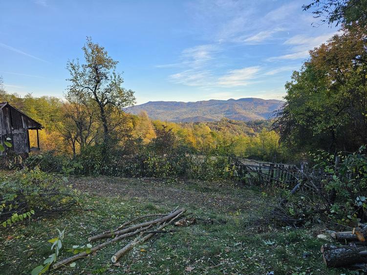 Loturi de Vanzare! - 3