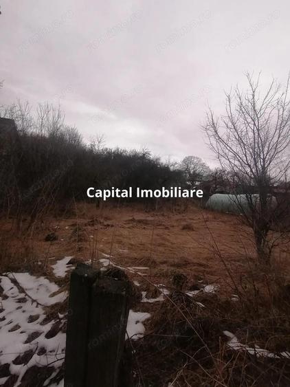 Casa cu utilita?i, teren 3040mp,Ceanu Mic, fara comision !! - 3