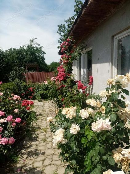 Imobil in vanzare - 2