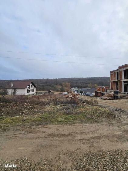 Teren construibil cu utilitati Saldabagiu de Munte 900m - 5