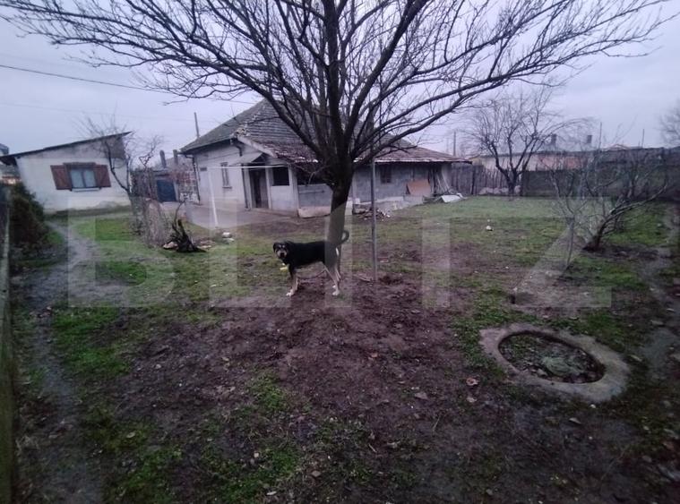 Casa P, 90 mp, 516 mp teren, deschidere 20 m, zona Romanesti - Bucura - 14