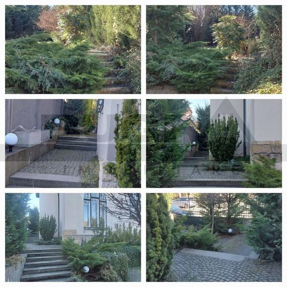 Spatiu pentru birouri, Andrei Muresanu,  185 mp, terasă și grădină - 3