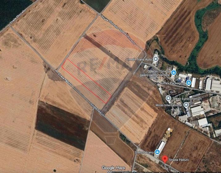 Teren 12,464mp Chitila / Strada Padurii - 2