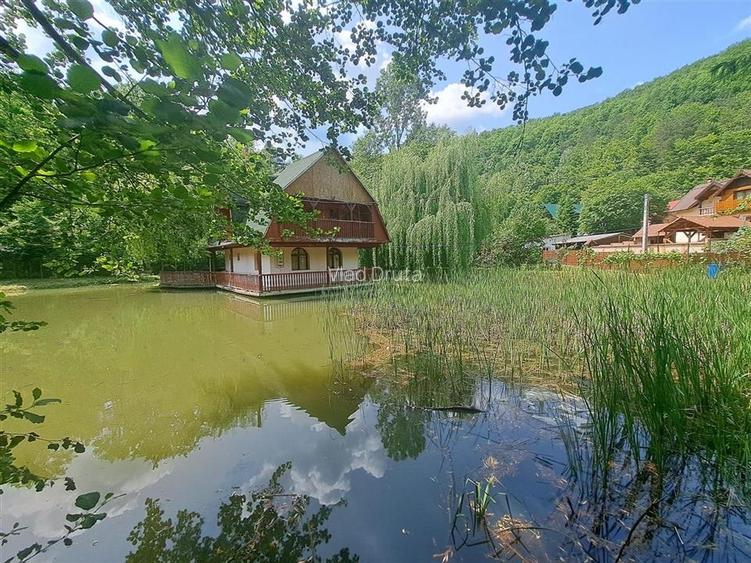 Cabana pe apa in Padurea Neagra Cabana pe apa in Padurea Neagra
