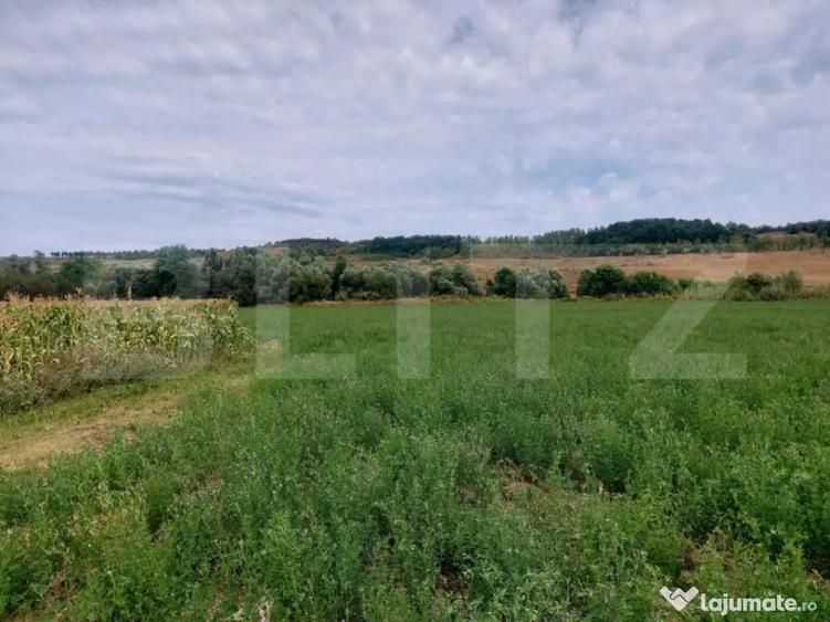 De vanzare teren Fundatura 27500mp - intravilan - 4