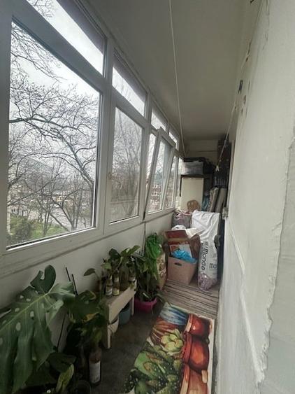 Pajura langa Policlinica - 8