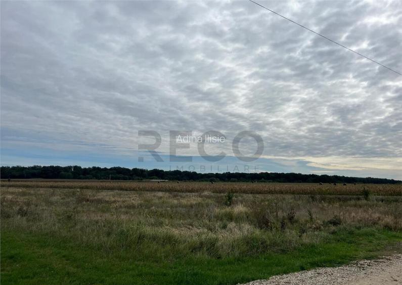 RECO Teren intravilan zona BEVERLY HILLS