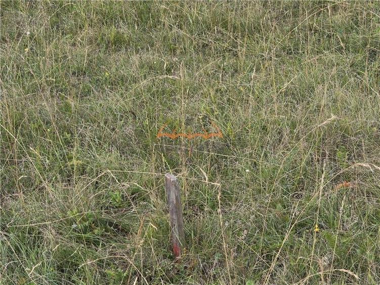 Teren de vanzare in Cluj-Napoca / Str. Soporului, intravilan, 1.380m&Acirc;˛/18&acirc;Ź m&Acirc;˛ - 4